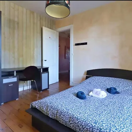 Family House With Garden In * Lugos